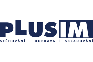 PLUSIM  logo