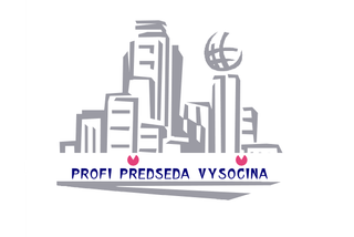  PVSO - profesionální výkon statutárního orgánu logo