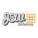 Logo JSW Bohemia s.r.o.